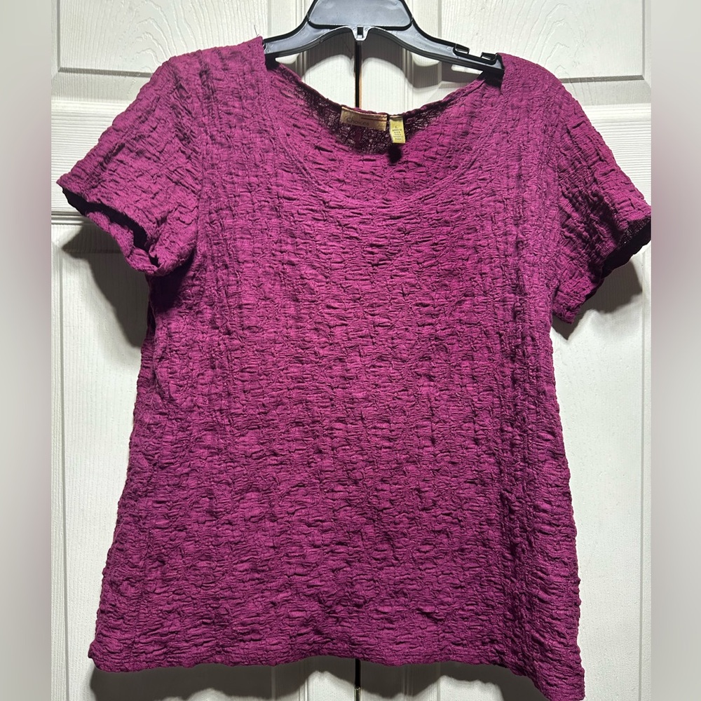 Choices large Women's Textured Purple wimr color short sleeve Top